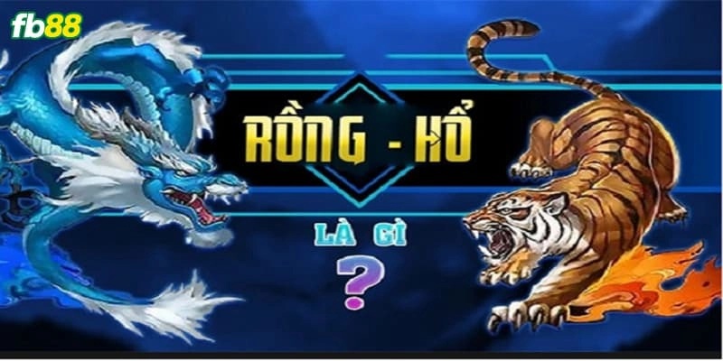 Rồng hổ Fb88