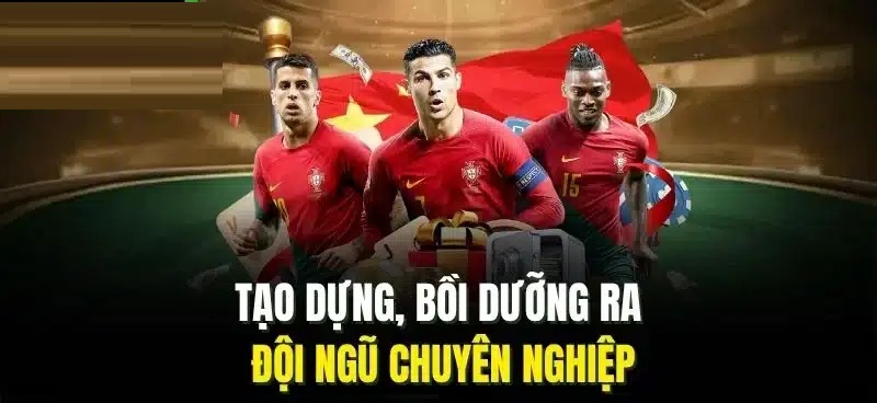 Tác giả Quang Tuấn