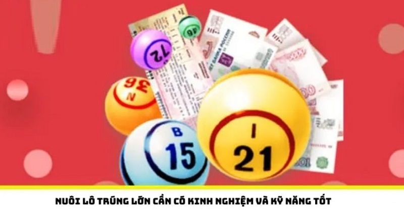 Nuôi lô trúng lớn cần có kinh nghiệm và kỹ năng tốt dàn lô 10 số